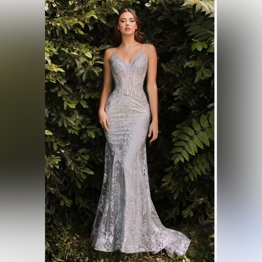 Cinderella Divine Silver size 6 prom / formal dress
Style J810